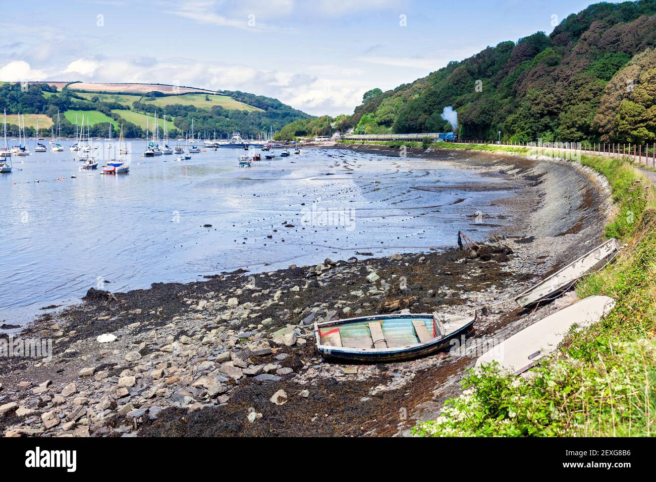 England, Devon, LNER A4 Pacific 'Bittern' auf dem Weg zum Torbay Express nach Kingswear mit der Dartmouth Steam Railway Stockfoto