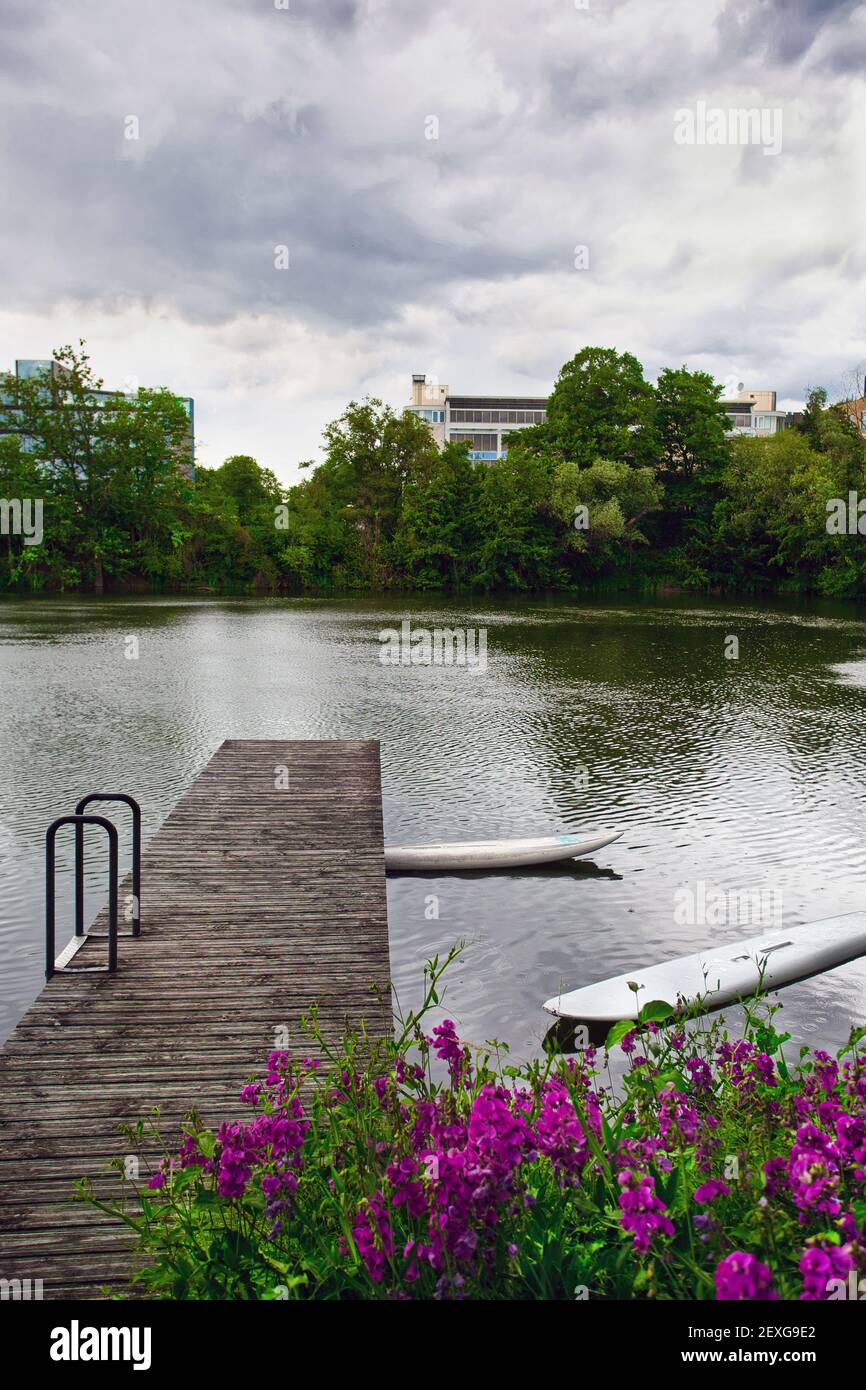 Schwedler See in Frankfurt am Main, Hessen, Deutschland Stockfoto