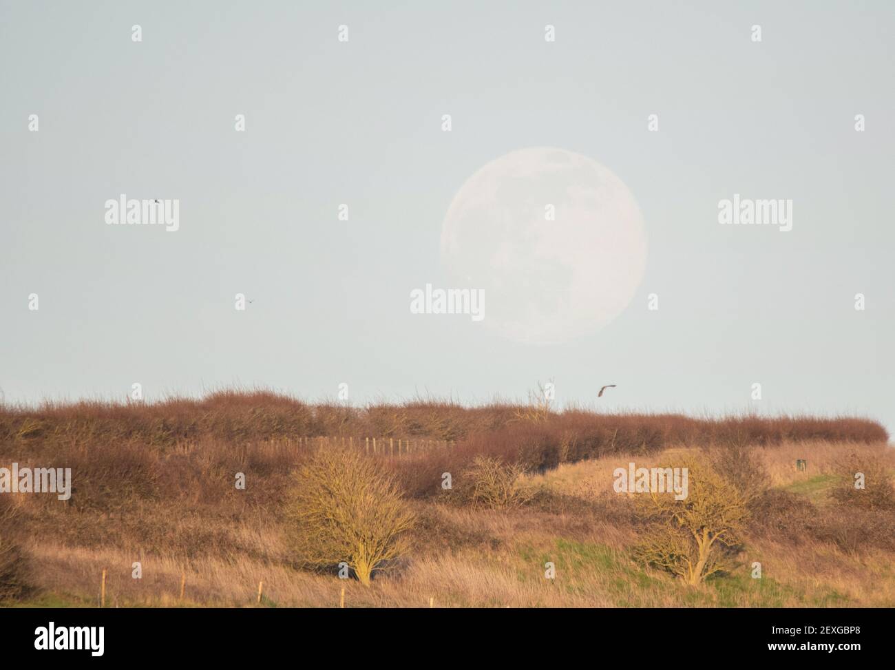 Mondaufgang Stockfoto