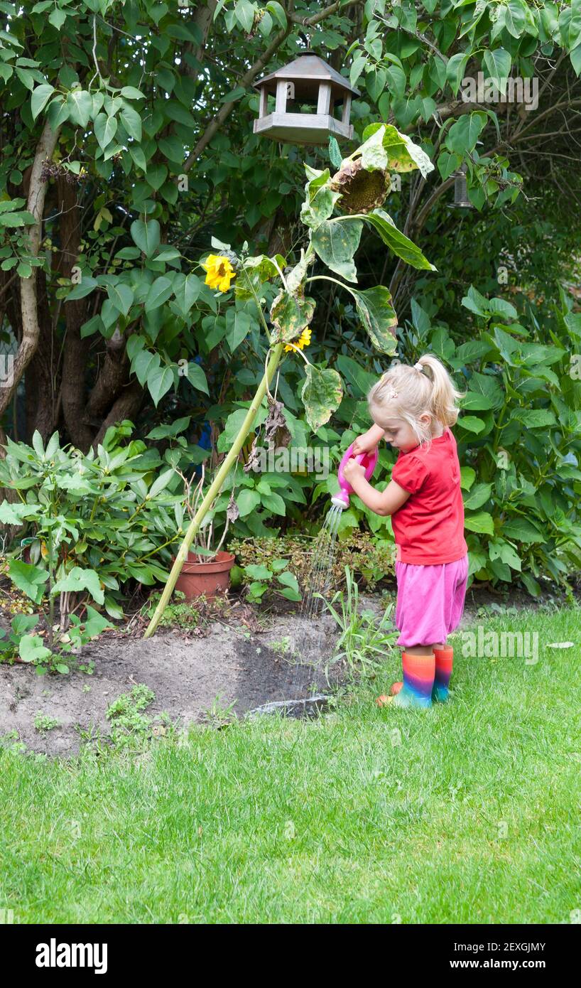 Nettes kleines Mädchen Gießpflanzen Stockfoto