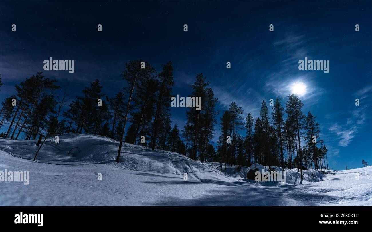 Vollmond leuchtet über Winter verschneiten Wald mit kleinen Hügeln, dunkelblauen Nachthimmel mit Sternen und einige Wolken durch Mondlicht hervorgehoben. Motorschlitten trac Stockfoto