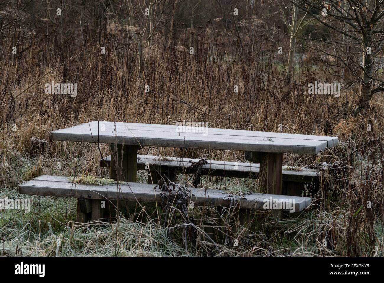 Ein Picknick-Tisch in Schottland im Winter, bedeckt mit Frost und Eis Stockfoto