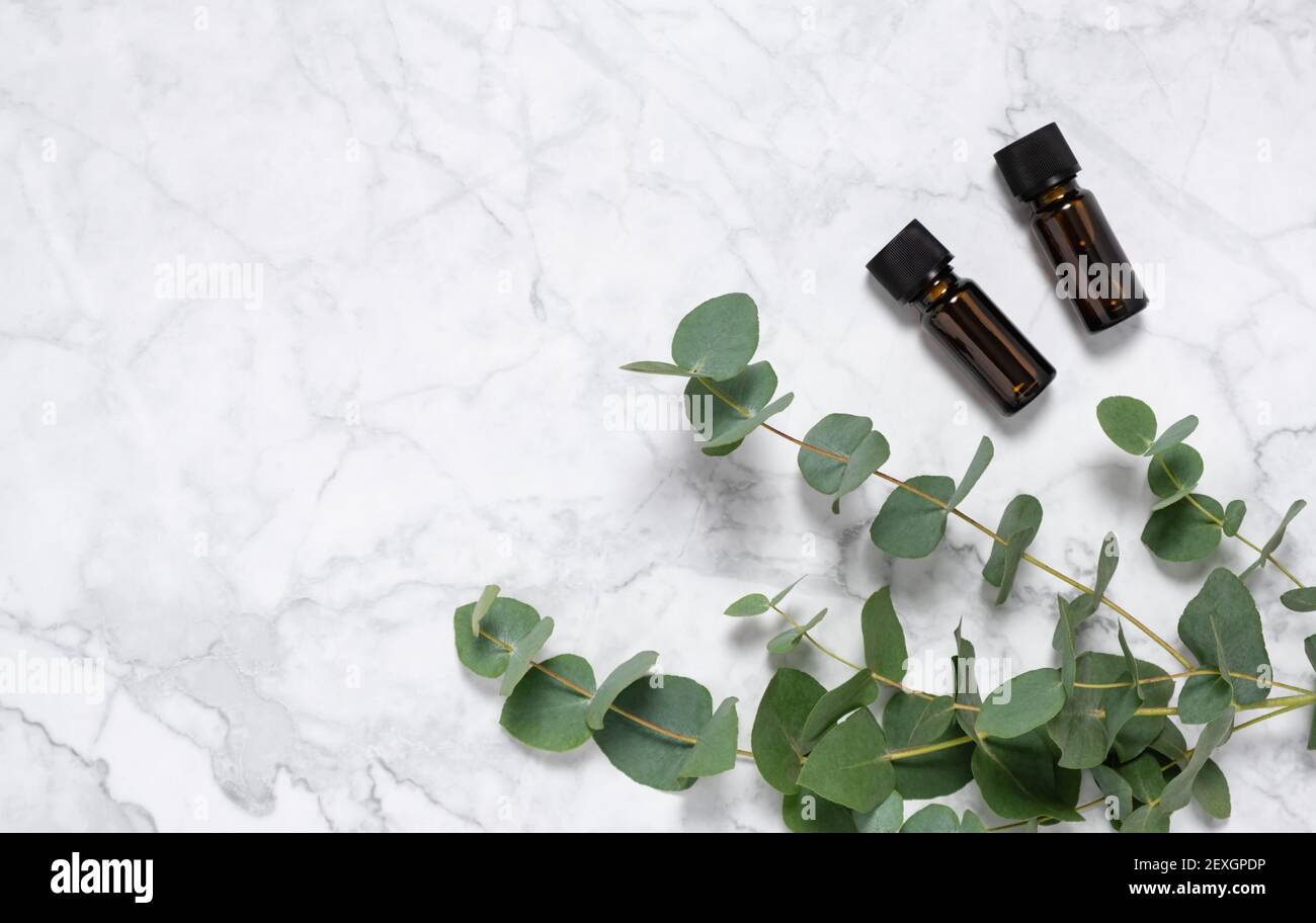 Zwei Flaschen ätherisches Eukalyptusöl und Eukalyptuszweig mit Blättern auf Marmorgrund. Natürliche Hautpflegeprodukte. Spa, Wellness und Stockfoto
