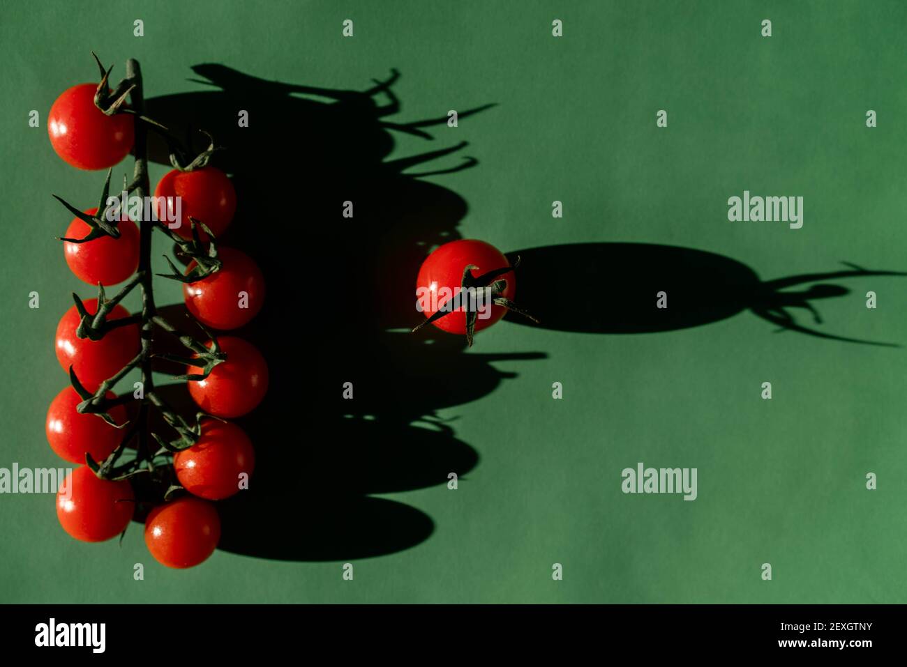 Kirschtomaten auf dem Zweig auf grünem Hintergrund und einzeln Eins Stockfoto