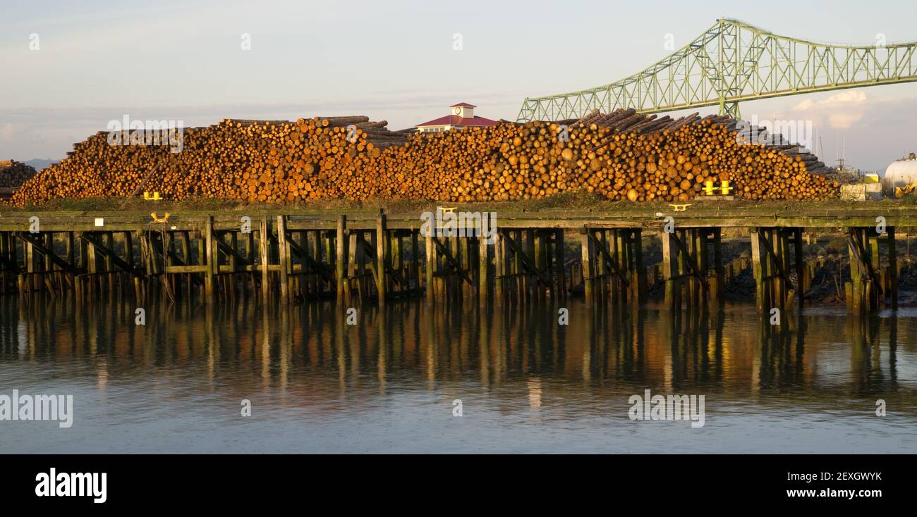 Brücke über Log Pier Export Dock Stockfoto