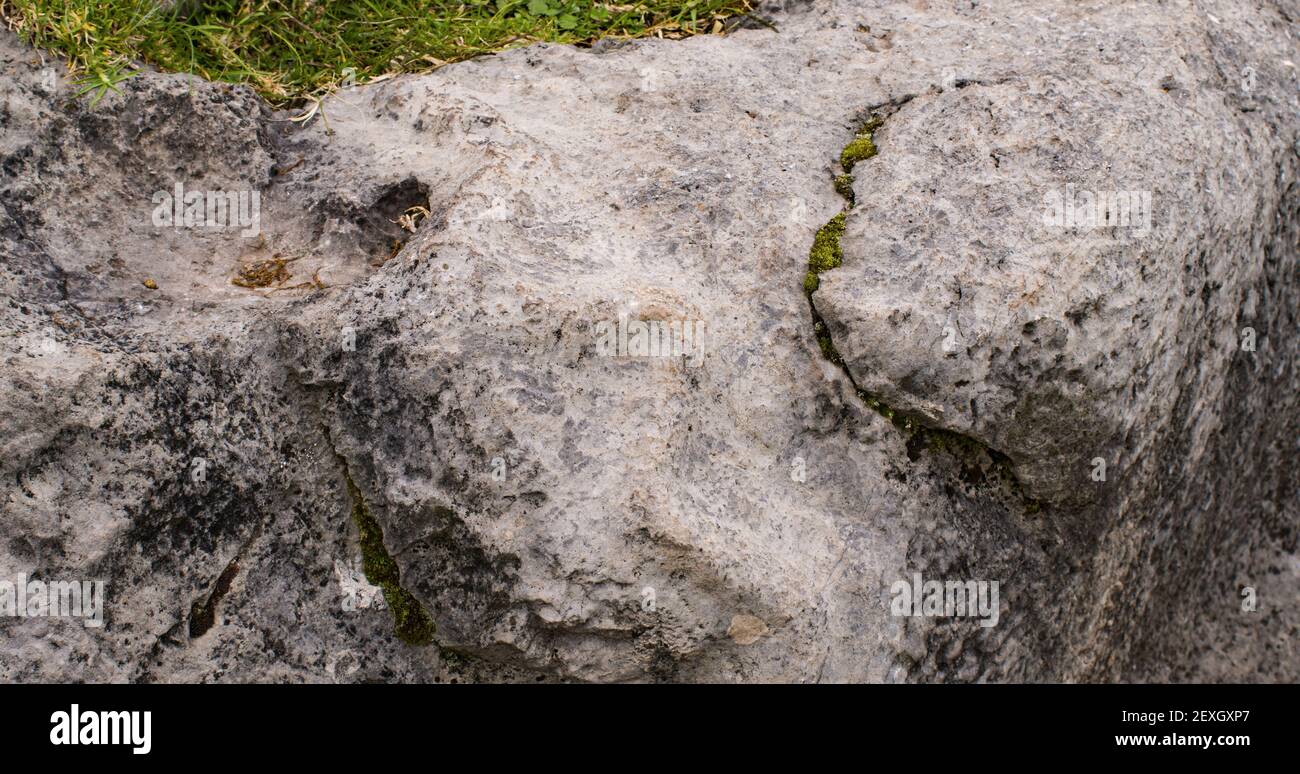 Alte Inka Schlange Schnitzerei auf Stein in cusco peru Stockfoto