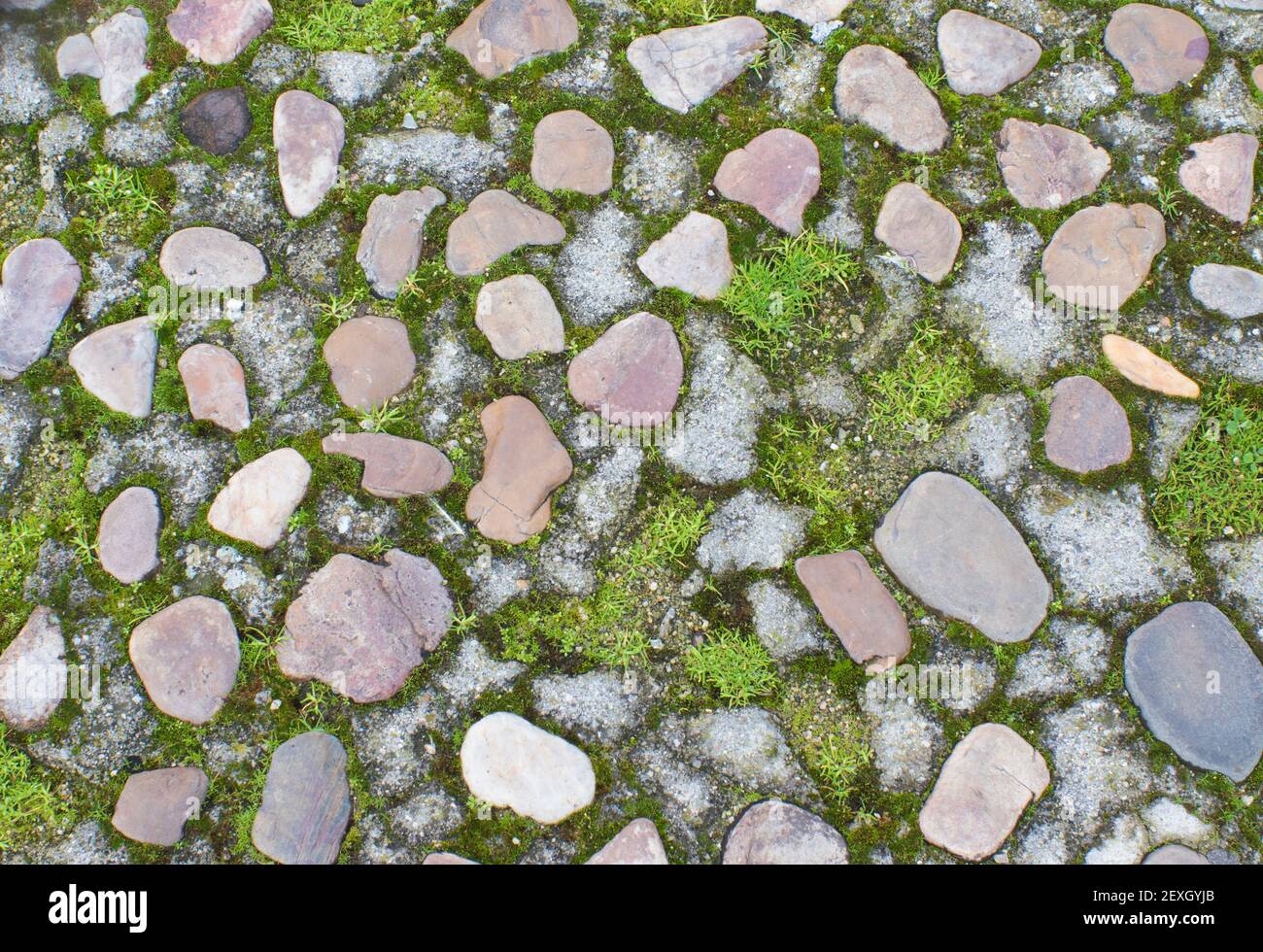 Abstrakte Textur von Steinen, Moos und Gras. Kopfsteinpflaster Stockfoto