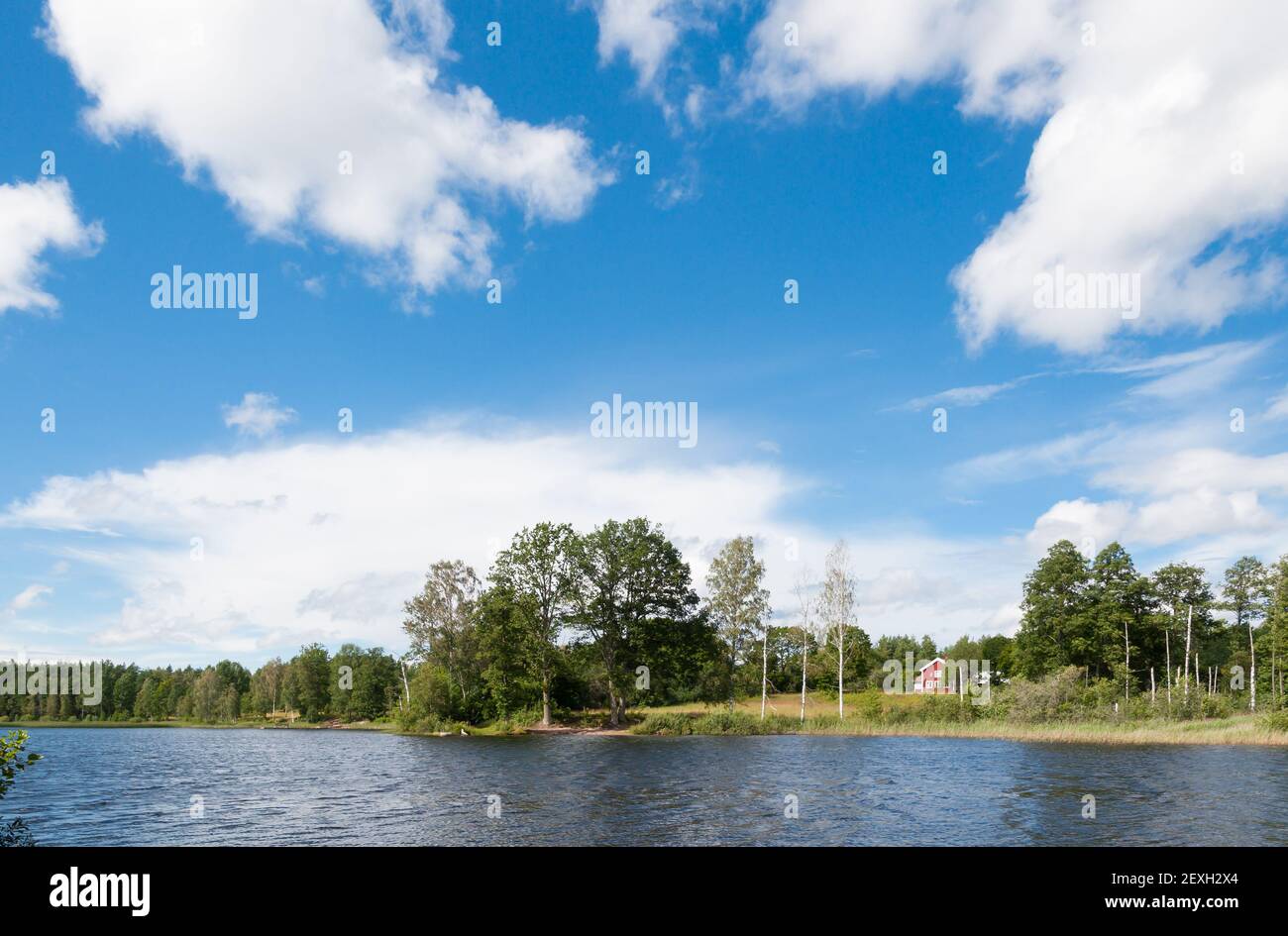 Schwedische Landschaft im Sommer. Stockfoto
