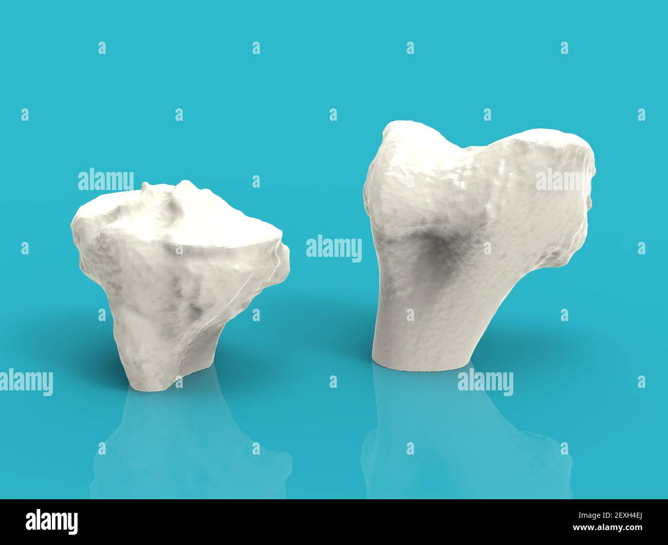 Modell der menschlichen Knochen des Knies, Femur und Tibia, 3D Render Stockfoto