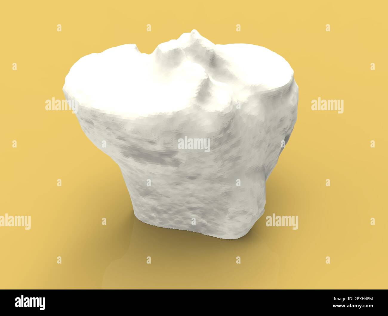 Modell des menschlichen Knochens, Teil des Knies, Tibia, 3D Render Stockfoto
