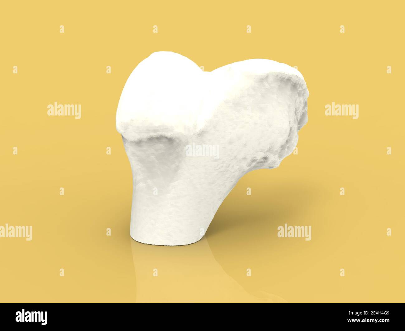 Modell des menschlichen Knochens, Teil des Knies, Femur, 3D Render Stockfoto