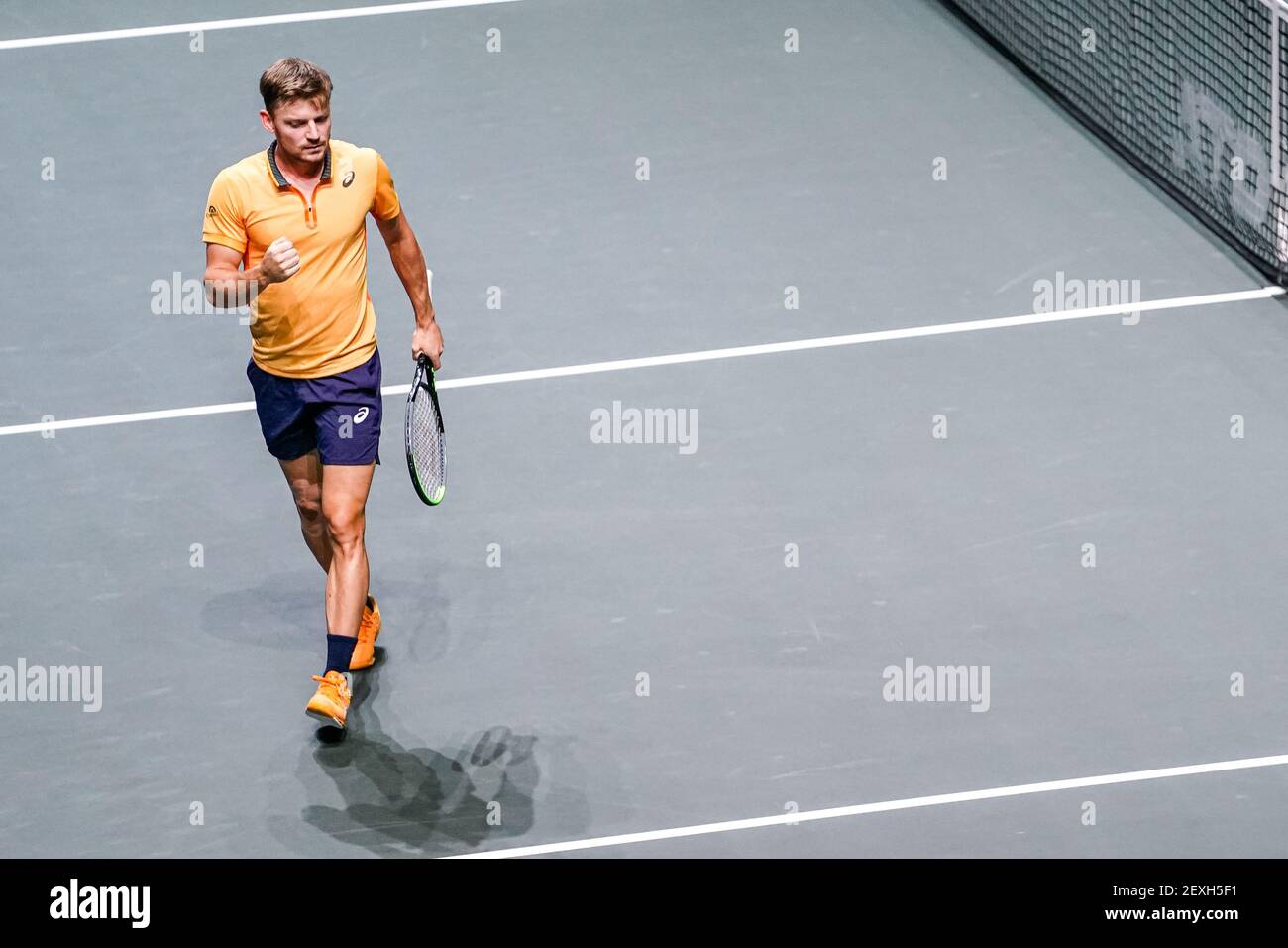 ROTTERDAM, NIEDERLANDE - MÄRZ 4: David Goffin aus Belgien während seines Spiels gegen Jeremy Chardy aus Frankreich beim ABN AMRO World Tennis Tournamen 48th Stockfoto