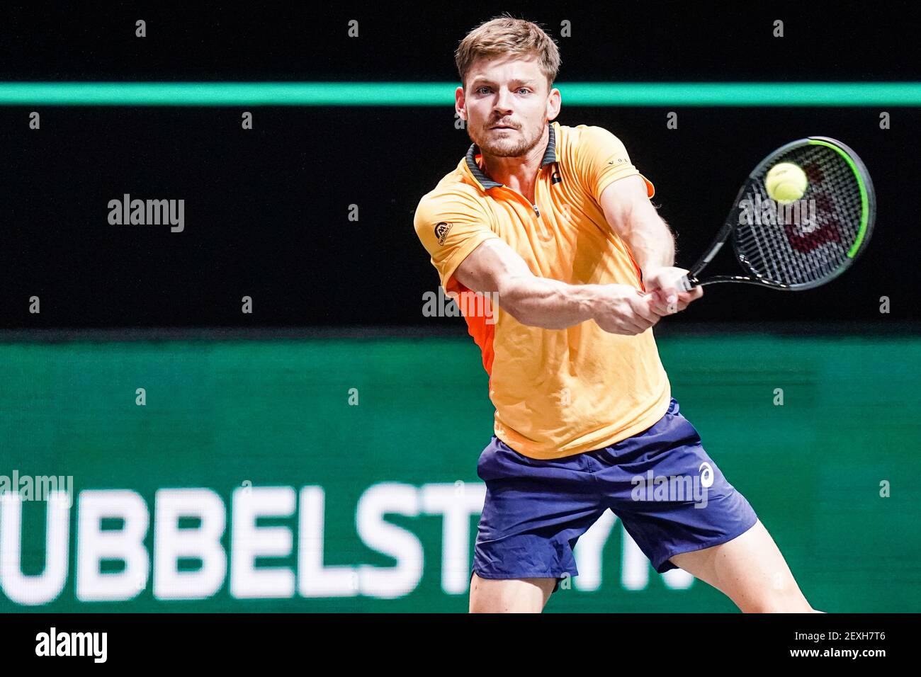 ROTTERDAM, NIEDERLANDE - MÄRZ 4: David Goffin aus Belgien während seines Spiels gegen Jeremy Chardy aus Frankreich beim ABN AMRO World Tennis Tournamen 48th Stockfoto