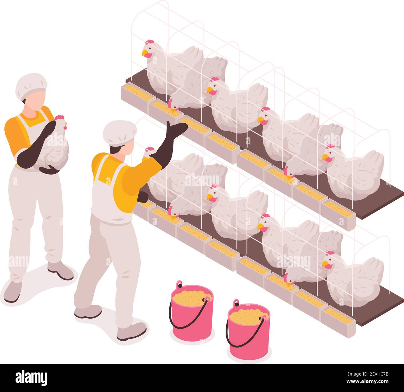 Geflügelfarm Produktionsarbeiter in Hühnerstall Kontrolle und Fütterung Vögel sammeln Eier isometrische Zusammensetzung Vektor-Illustration Stock Vektor