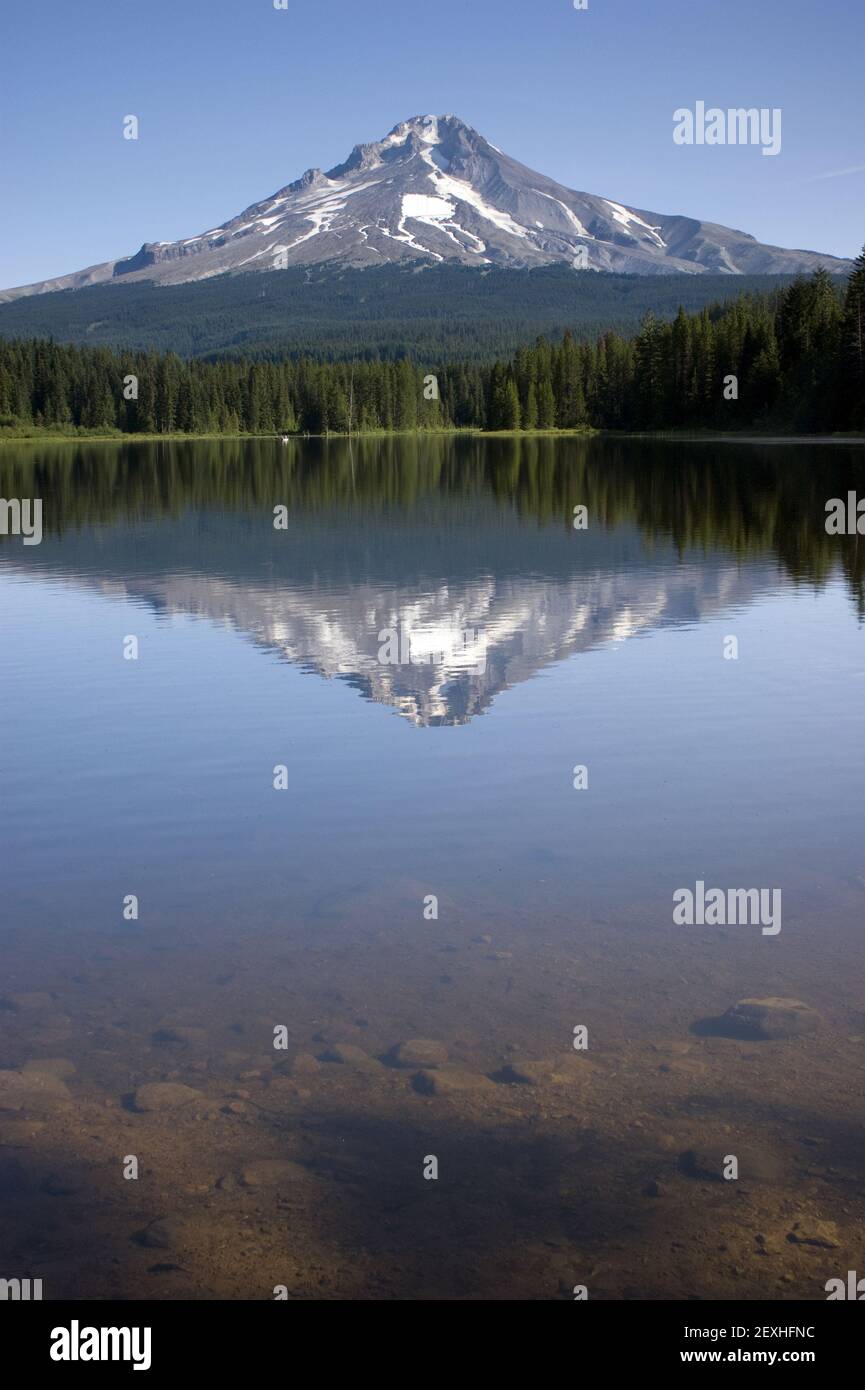 Bergwildnis See Trillium Mount Hood Oregon Stockfoto