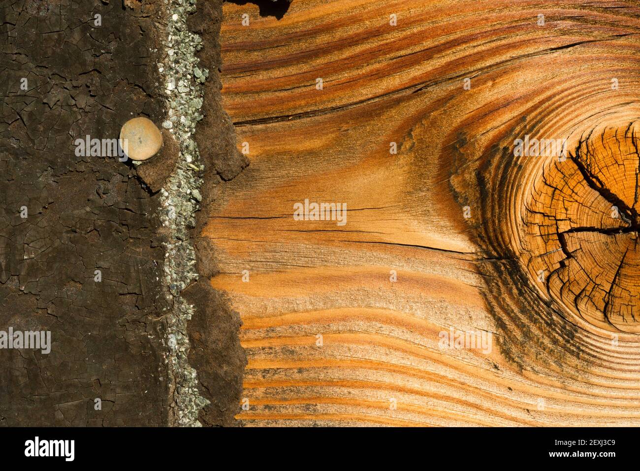 Knoty Pine Board Verwittertes Holz Asphalt Schindeldach Siding House Stockfoto