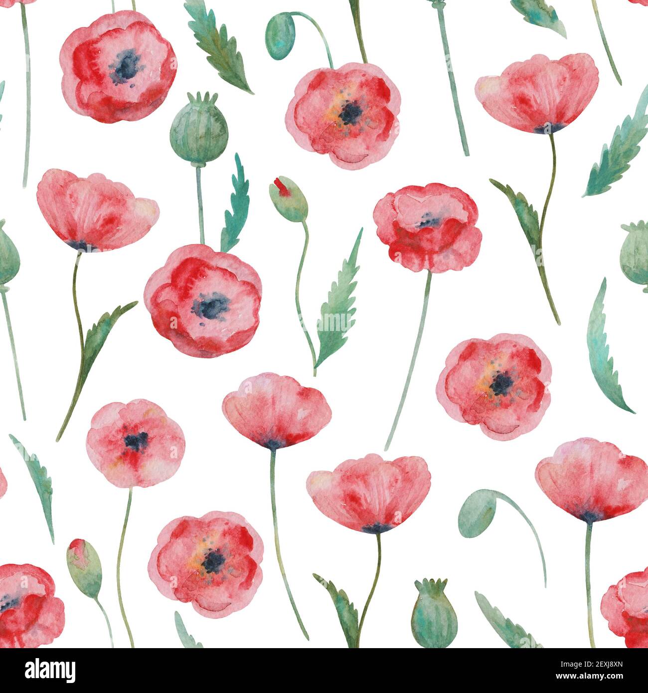 Nahtloses Muster mit Aquarell roten Mohnblumen. Stockfoto