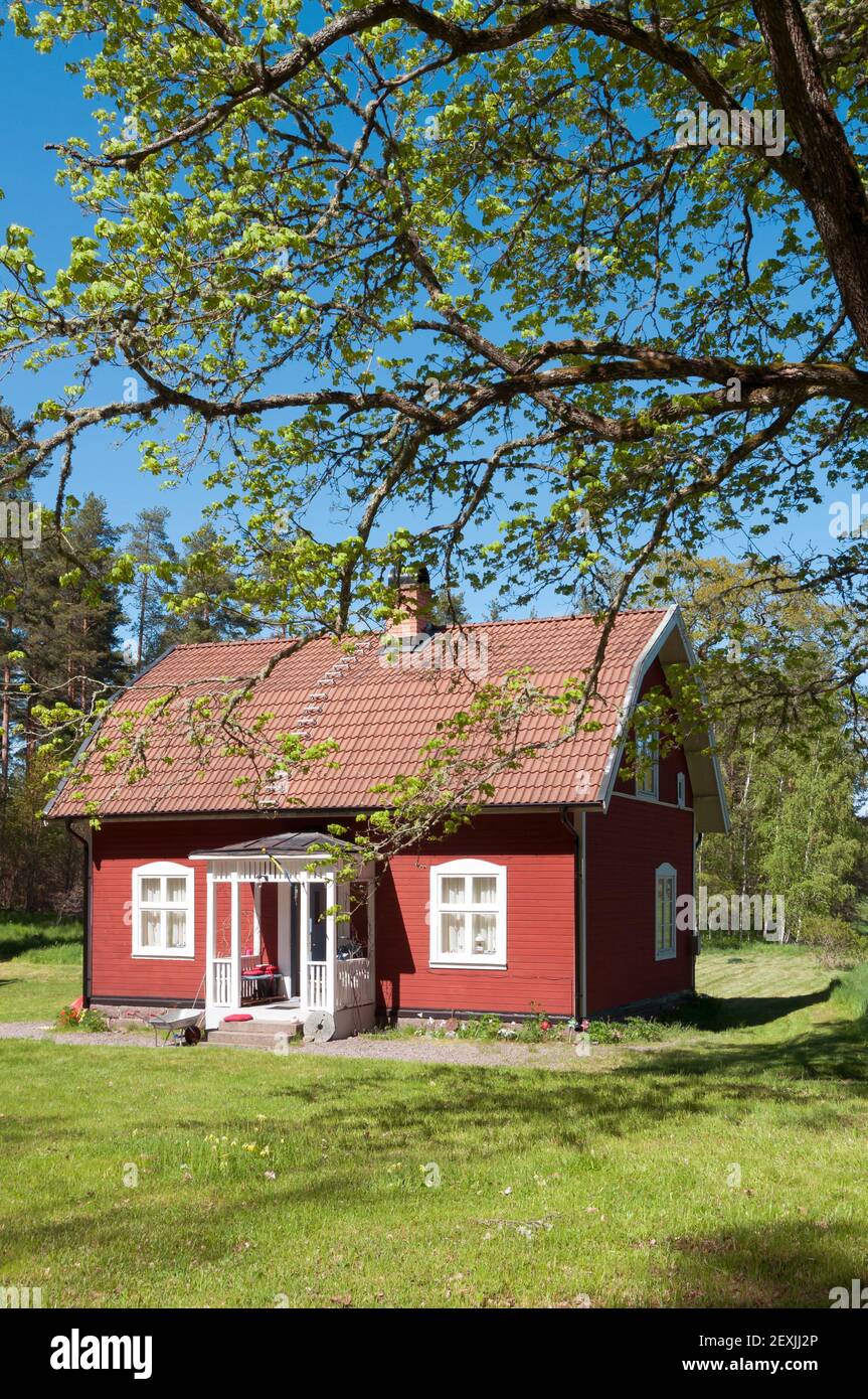 Typische rote Holzhütte in Schweden im Frühling Stockfoto