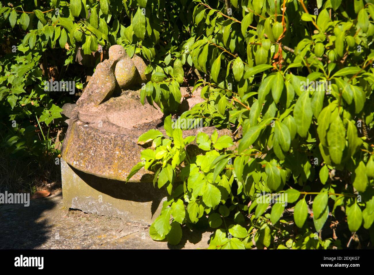 Steinvogel im Garten Stockfoto
