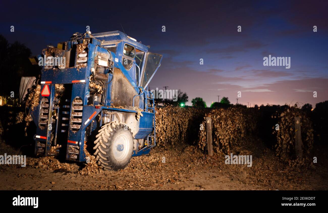 Nachts Landwirtschaft Obst Ernte Traube Ernte Maschine Lebensmittel Picker Stockfoto