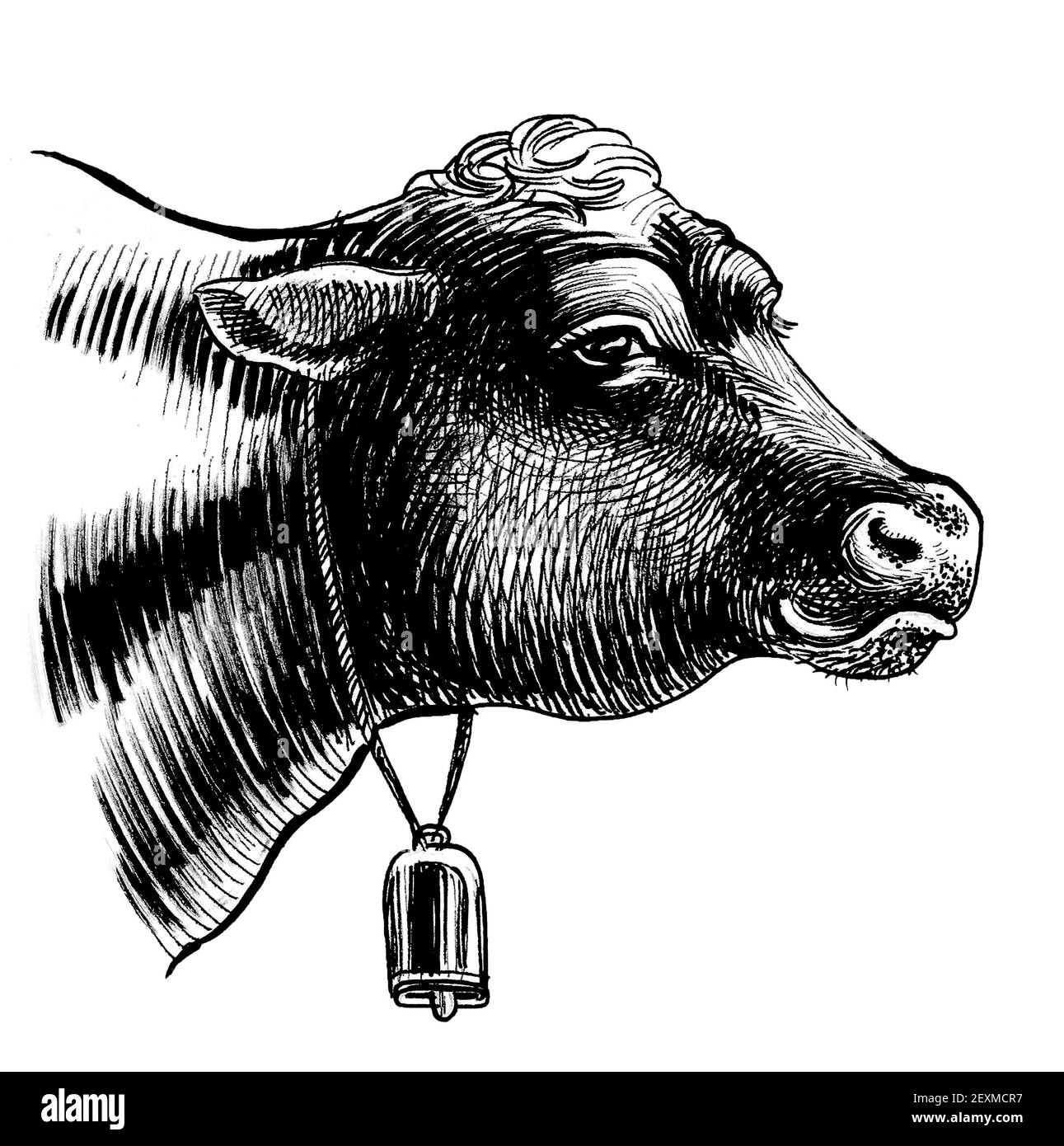 Kuhkopf mit einer Glocke. Schwarz-weiße Tinte Stockfoto