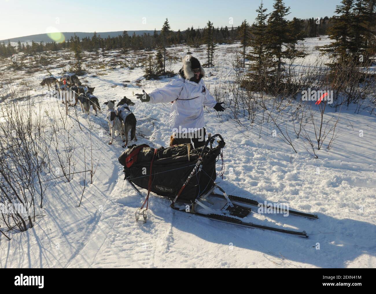 Iditarod Musher Aliy Zirkle, aus Two Rivers, AK, fragt, ob sie auf dem ...