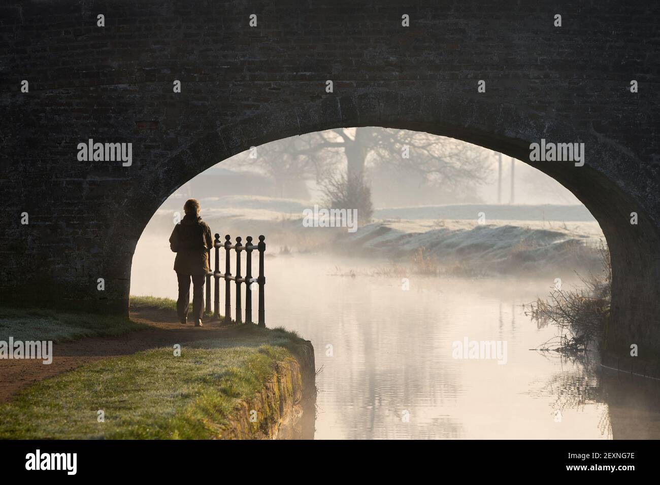 Lone Frau Silhouette zu Fuß unter alten Stein gewölbte Brücke auf Kanal Spaziergang entlang Schlepppfad Fußweg in den Morgenaufgang mit Frost auf Gras. Neblig Stockfoto