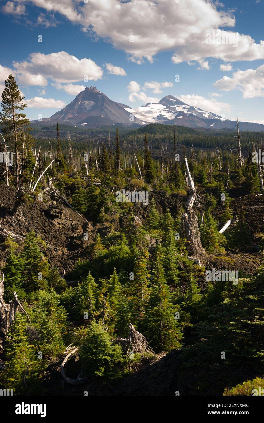 McKenzie Pass Lava Fields Three Sisters Little Brother Mountains Stockfoto