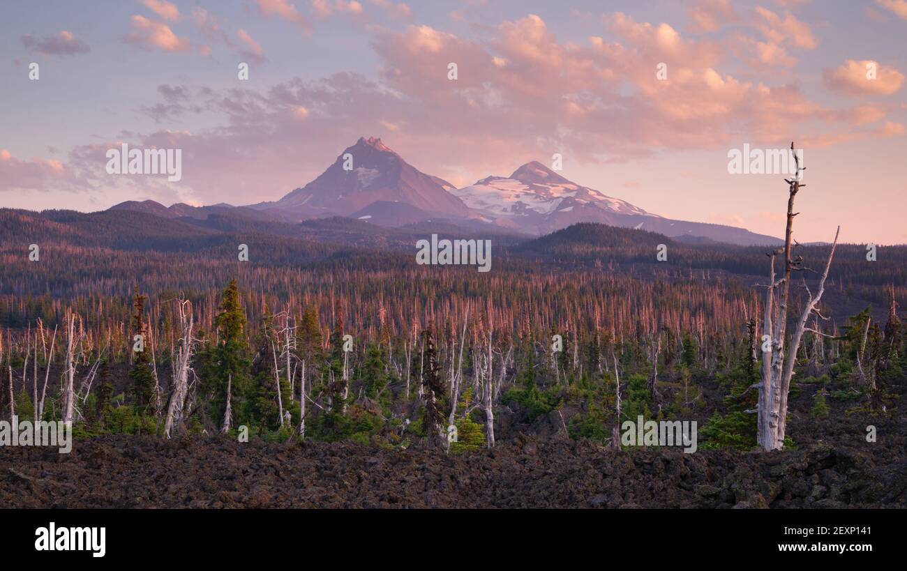 McKenzie Pass Lava Fields Three Sisters Little Brother Mountains Stockfoto