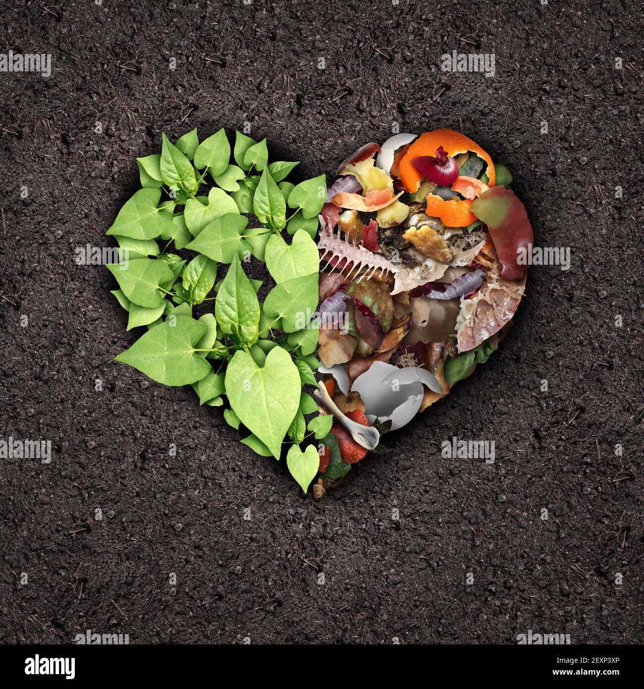 Kompostierung Liebe und Kompost oder kompostiert Boden Zyklus als Kompostierung Haufen verrottet Küchenabfälle mit Obst und Gemüse Müll Drehen. Stockfoto