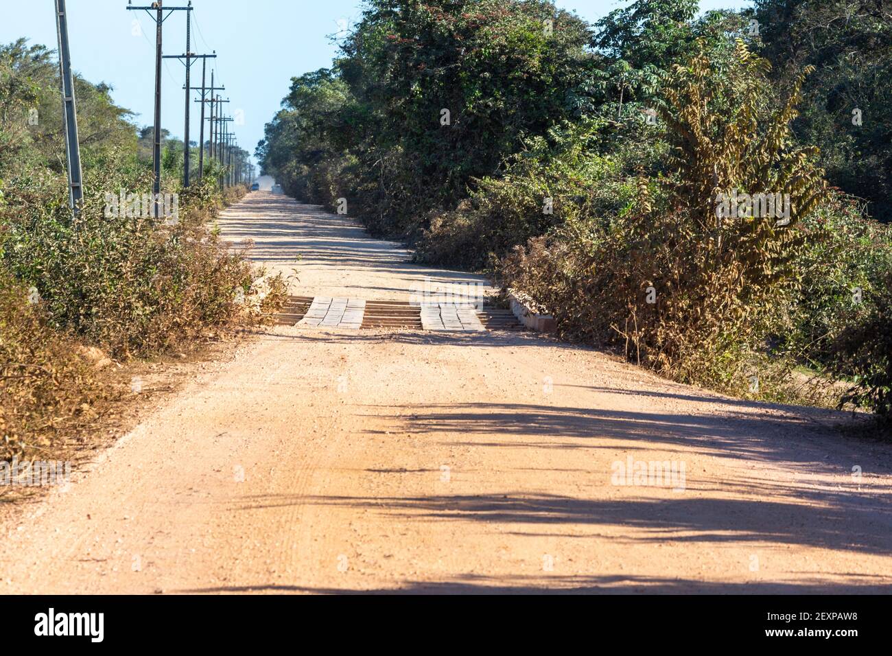 Die Transpantaneira mit einer der Holzbrücken im nördlichen Pantanal in Mato Grosso, Brasilien Stockfoto