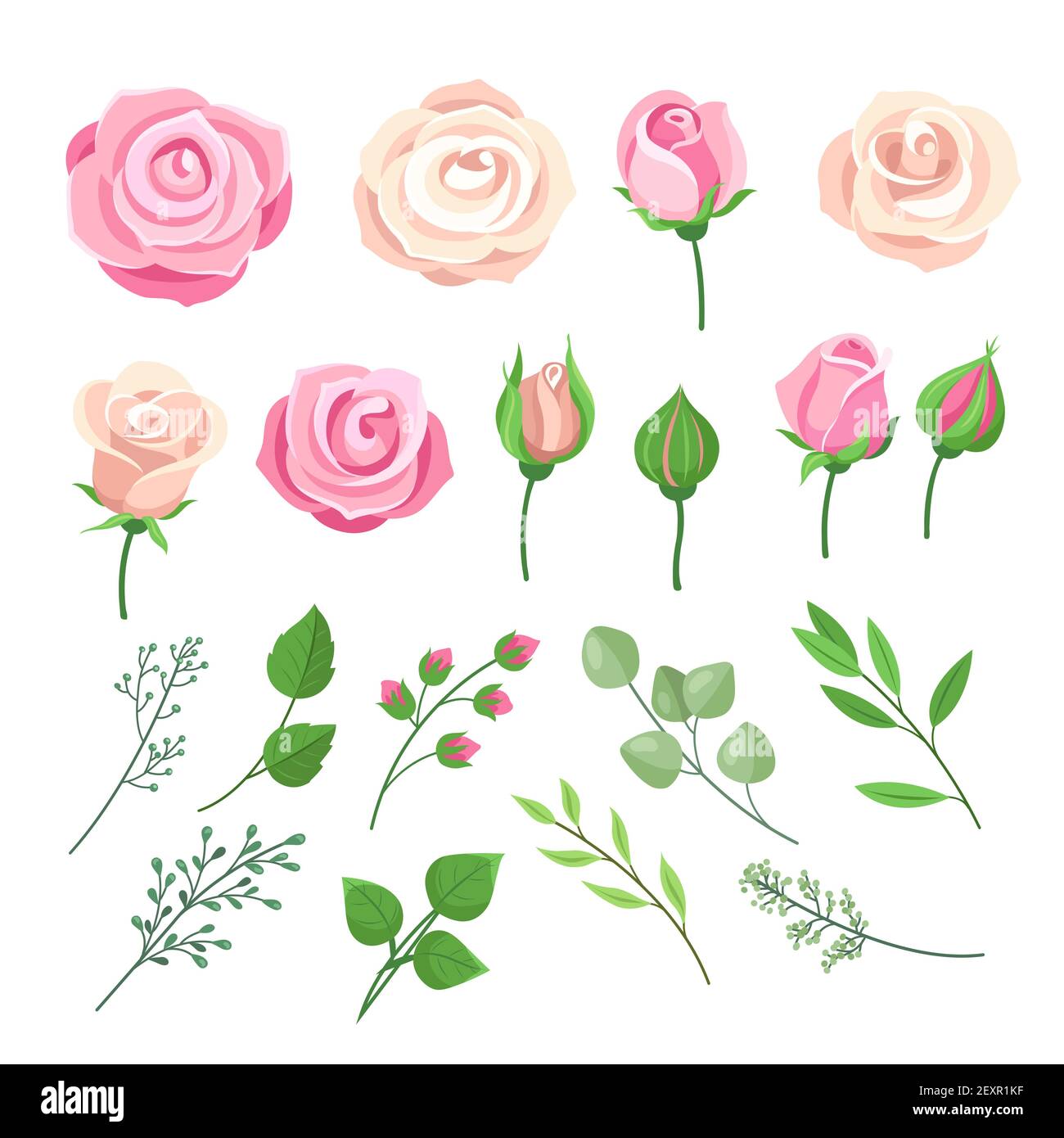 Rosenelemente. Rosa und weiße Rosen blühen mit grünen Blättern und Knospen. Romantische Hochzeitsdekor mit Wasserfarben und Blumenmuster. Isolierter Vektorsatz Stock Vektor