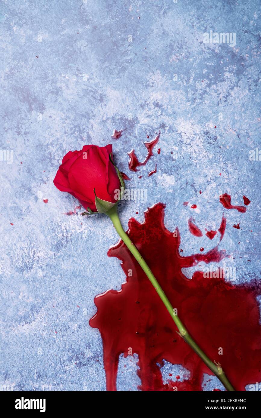 Rote Rosen und Blut auf einem blauen texturierten Hintergrund mit Platz für Text und Text Stockfoto