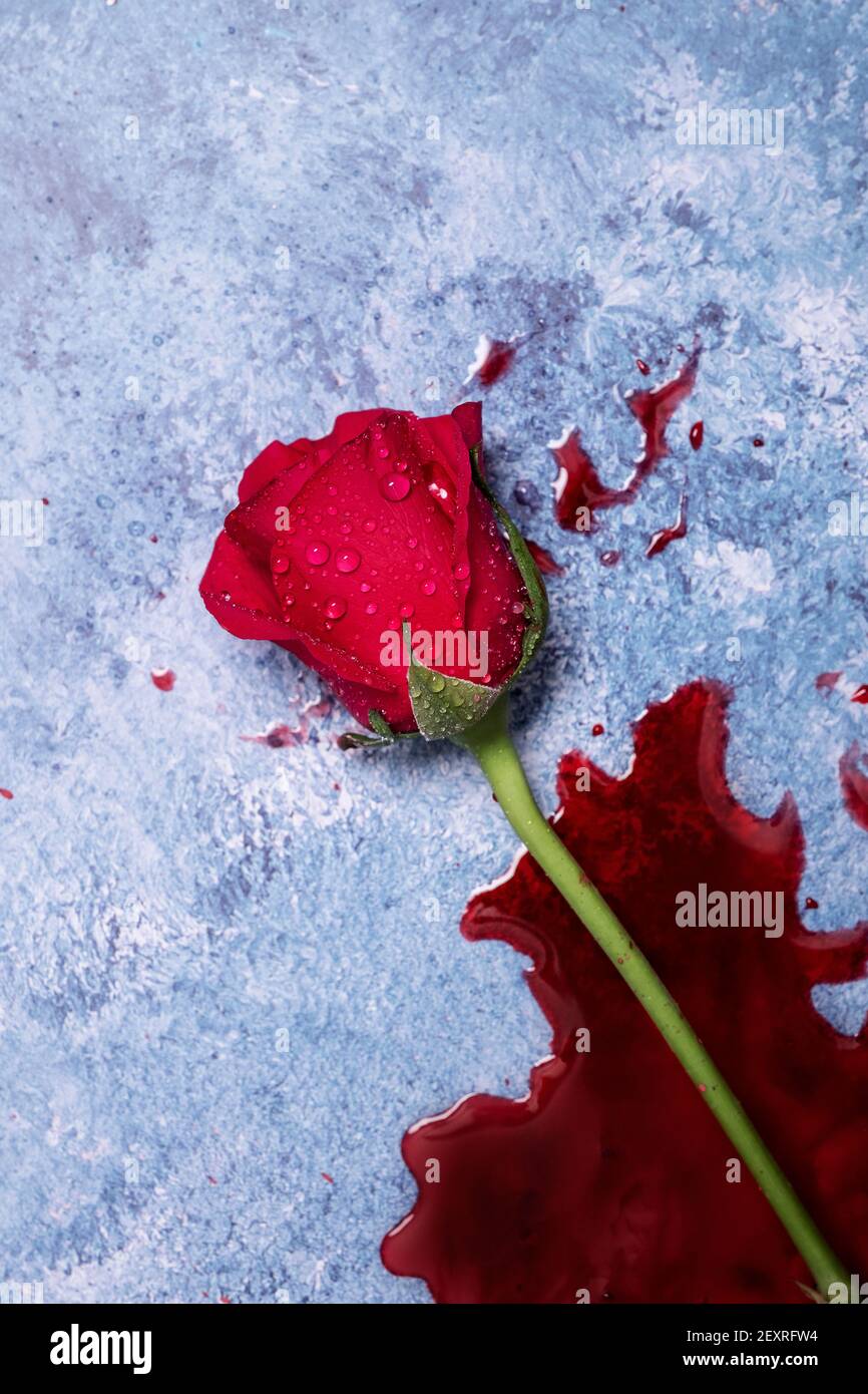 Rote Rosen und Blut auf einem blauen texturierten Hintergrund mit Platz für Text und Text Stockfoto