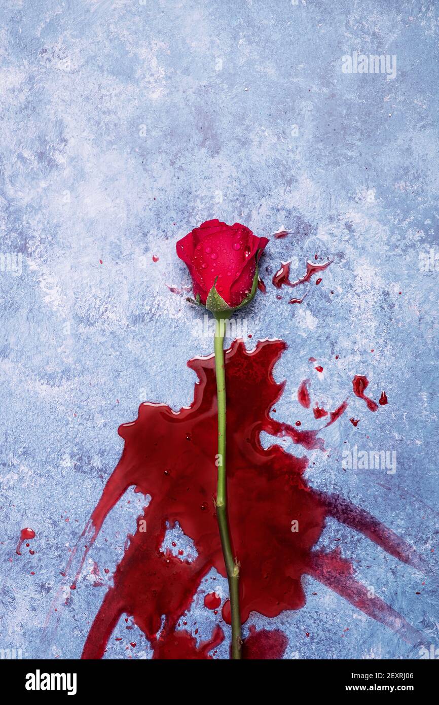 Rote Rosen und Blut auf einem blauen texturierten Hintergrund mit Platz für Text und Text Stockfoto