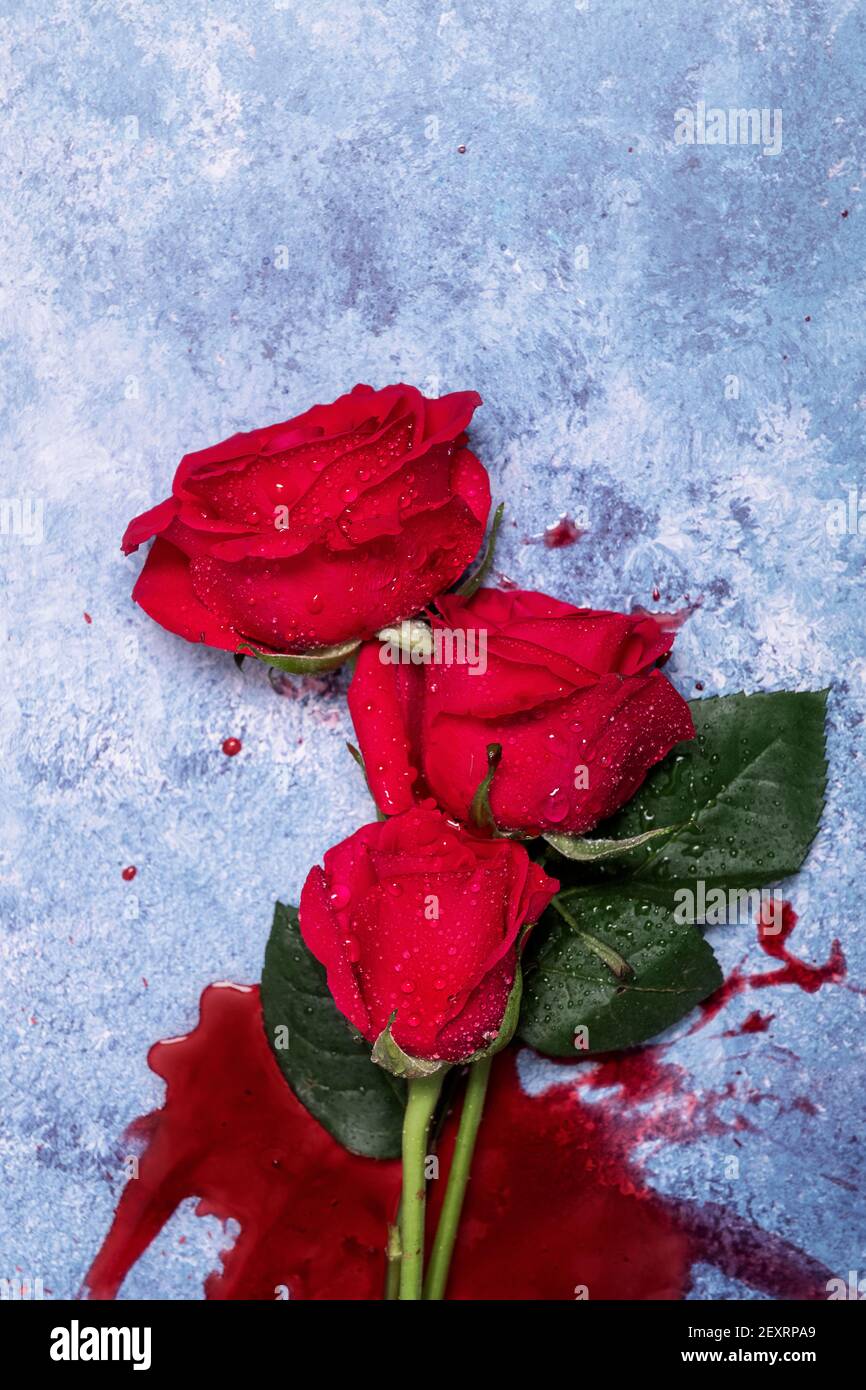 Rote Rosen und Blut auf einem blauen texturierten Hintergrund mit Platz für Text und Text Stockfoto
