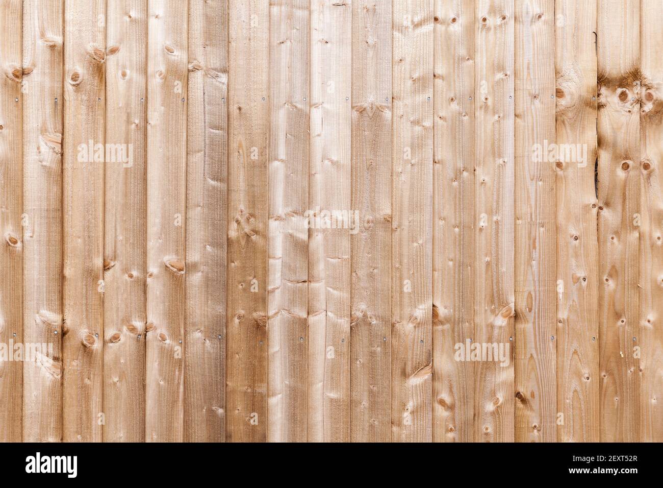 Neue unfarbige Holzwand aus vertikalen Kiefernholzplanken, Hintergrund Foto Textur Stockfoto