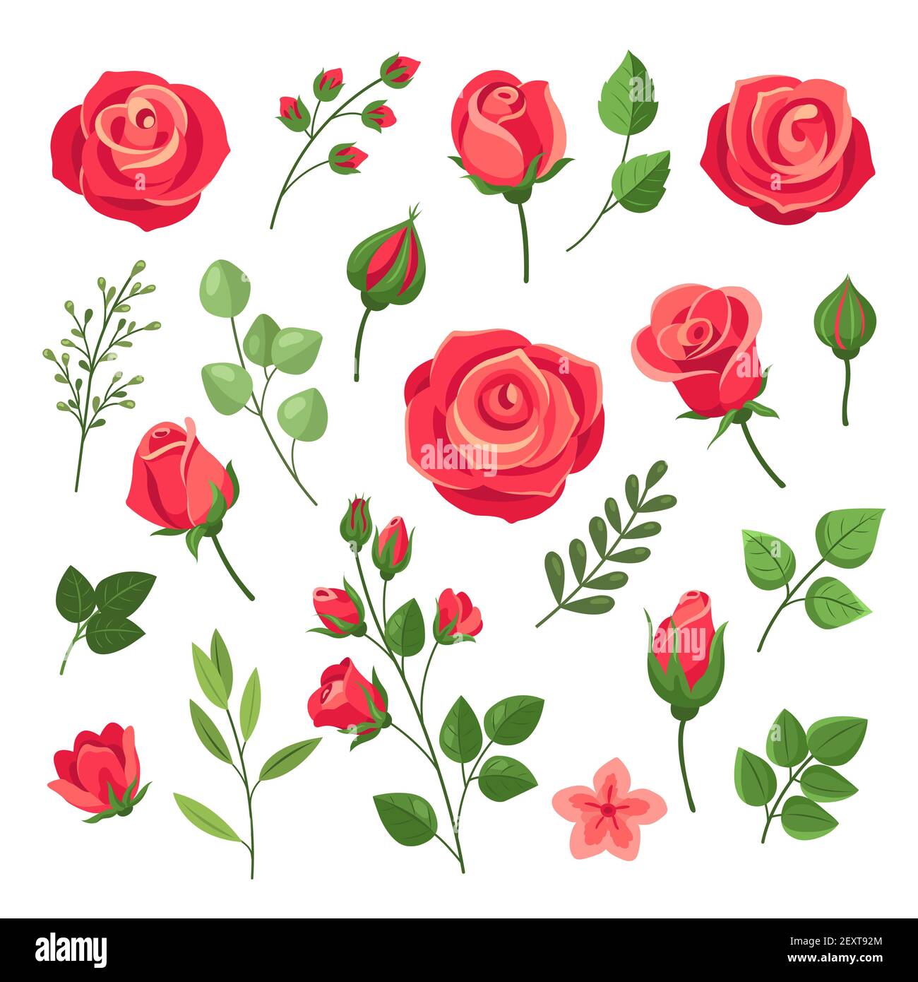 Aquarell Rosa Und Rote Rosen Vektor Clipart Botanik Clip Art Stock Vektorgrafik Alamy