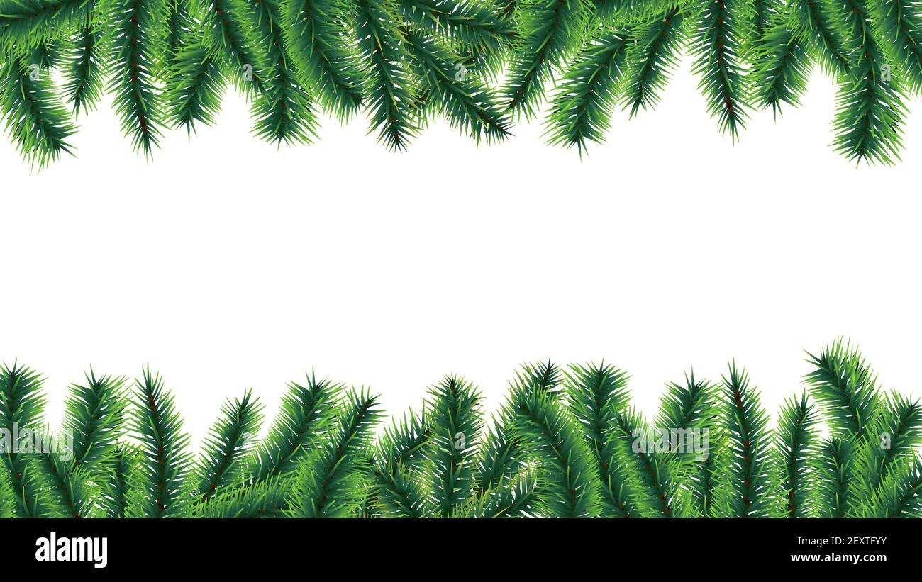 Weihnachtsbaum Rand. Urlaub Banner, Vektor Tannenbaum Zweige isoliert auf  weißem Hintergrund. Abbildung Zweig immergrünen Rahmen, Kiefer-Baum Xmas  Zweig Stock-Vektorgrafik - Alamy