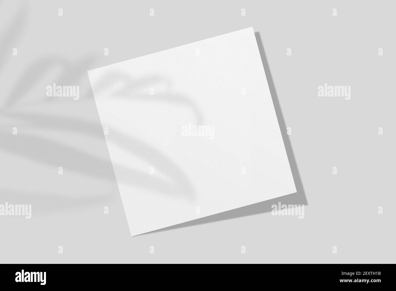 Realistische leere quadratische Flyer Broschüre für Mockup. Papier- oder  Posterdarstellung mit Schattenüberlagerung. 3D Rendern Stockfotografie -  Alamy