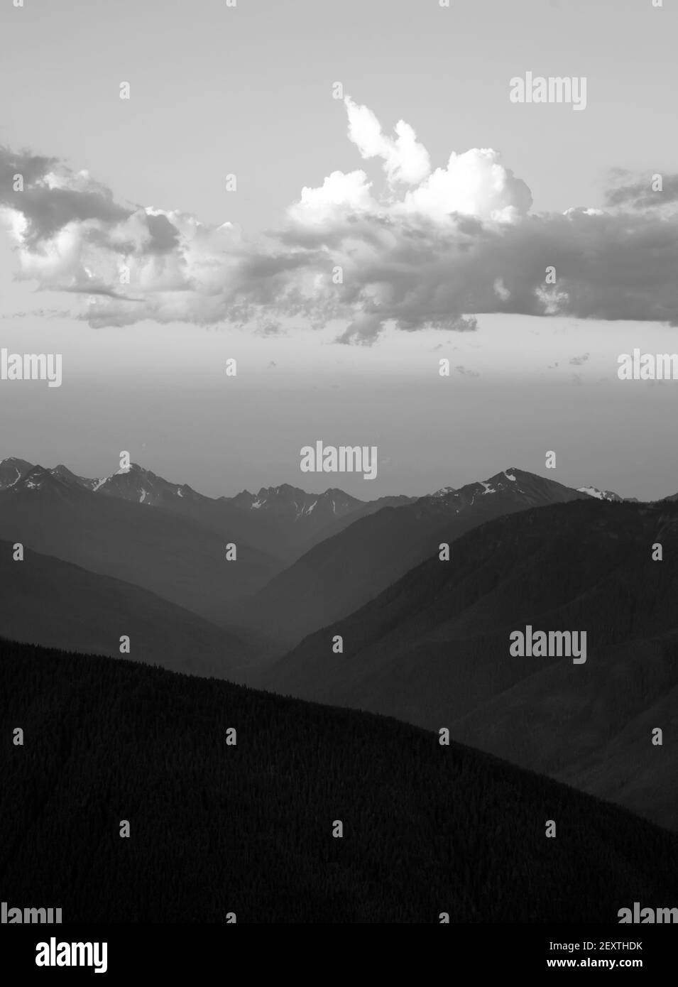 Dramatische Himmel Wolkengebilde über Hurricane Ridge Olympic Mountains Stockfoto