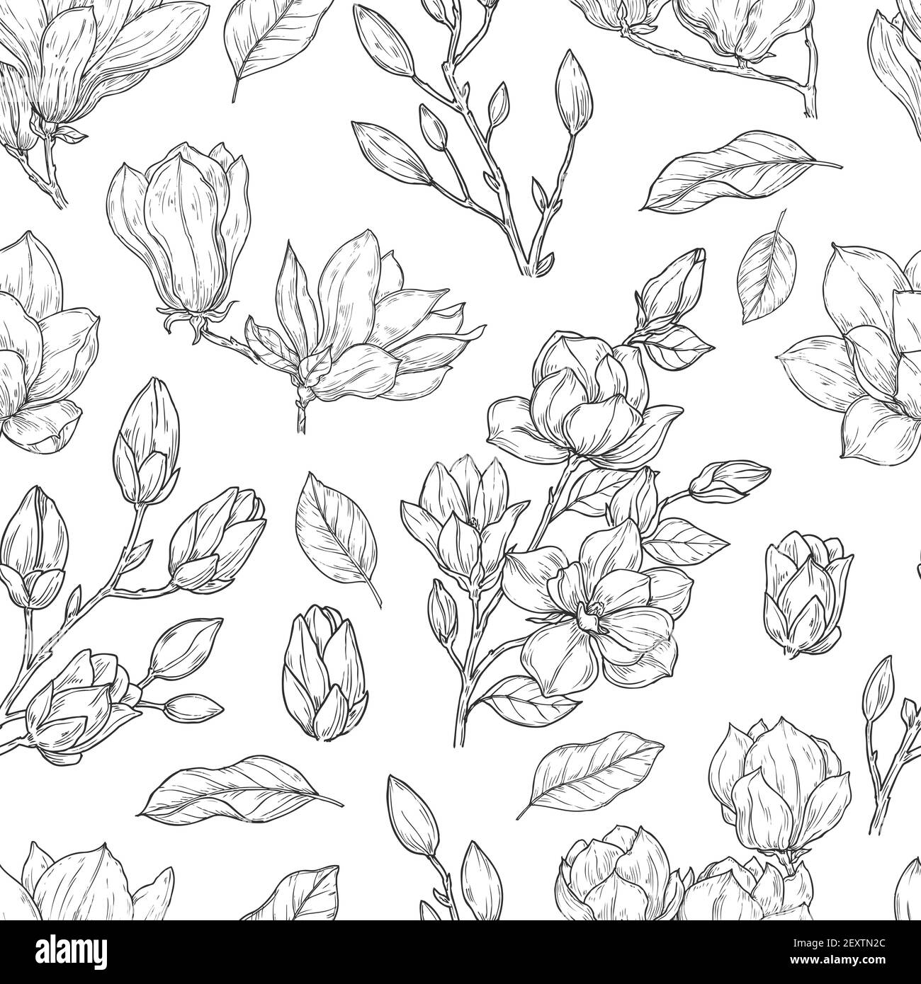 Magnolienmuster. Skizze Blume verzieren nahtlose Textur. Vintage Blumendruck Zeichnung mit botanischen Elementen. Vektorhintergrund Pflanzen. Magnolia Blumen Frühling Dekoration Muster Illustration Stock Vektor