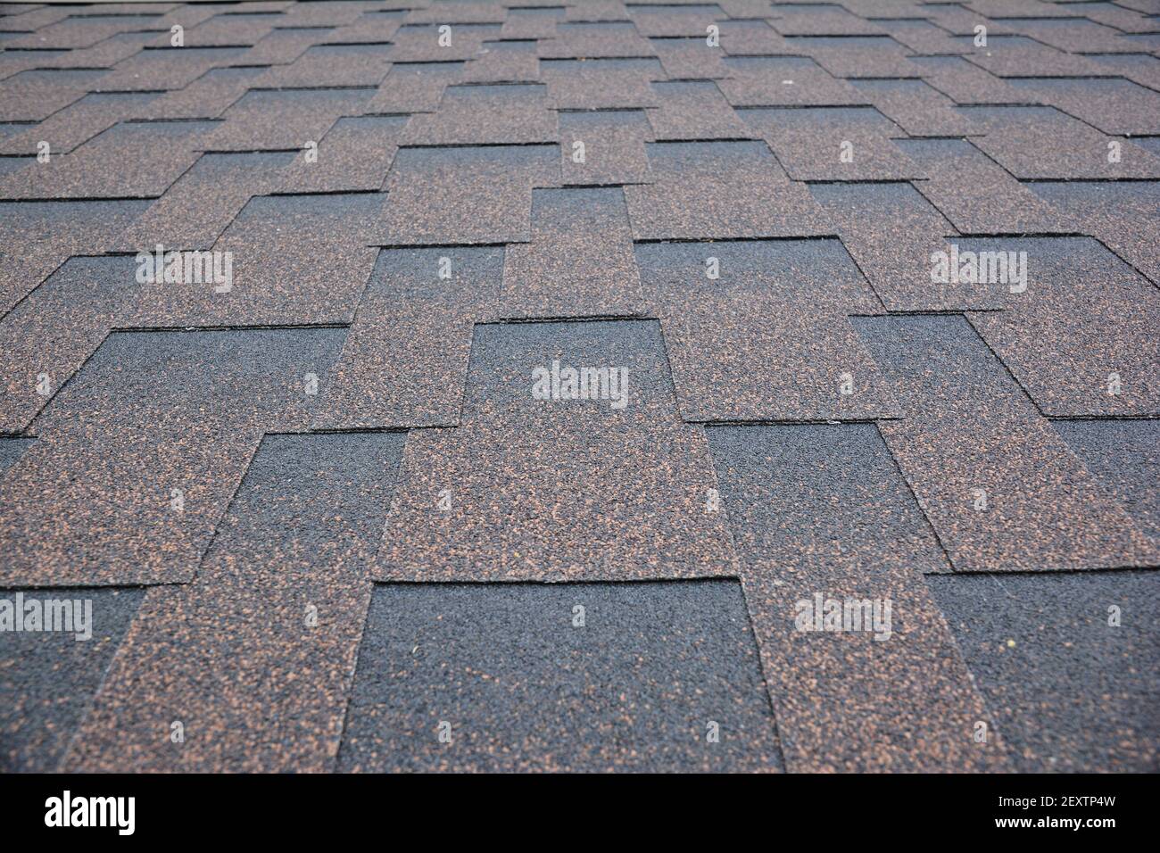 Kupfer braun Dach Asphalt Schindeln Textur Hintergrund. Nahaufnahme eines asphaltierten, dimensionalen oder architektonischen Schindellades. Asphalt-Shi Stockfoto