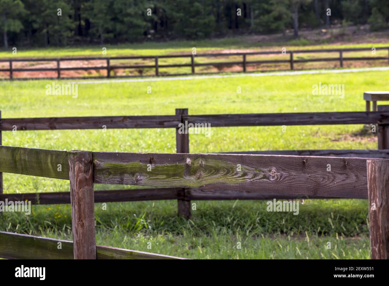 Reiterhof Stockfoto