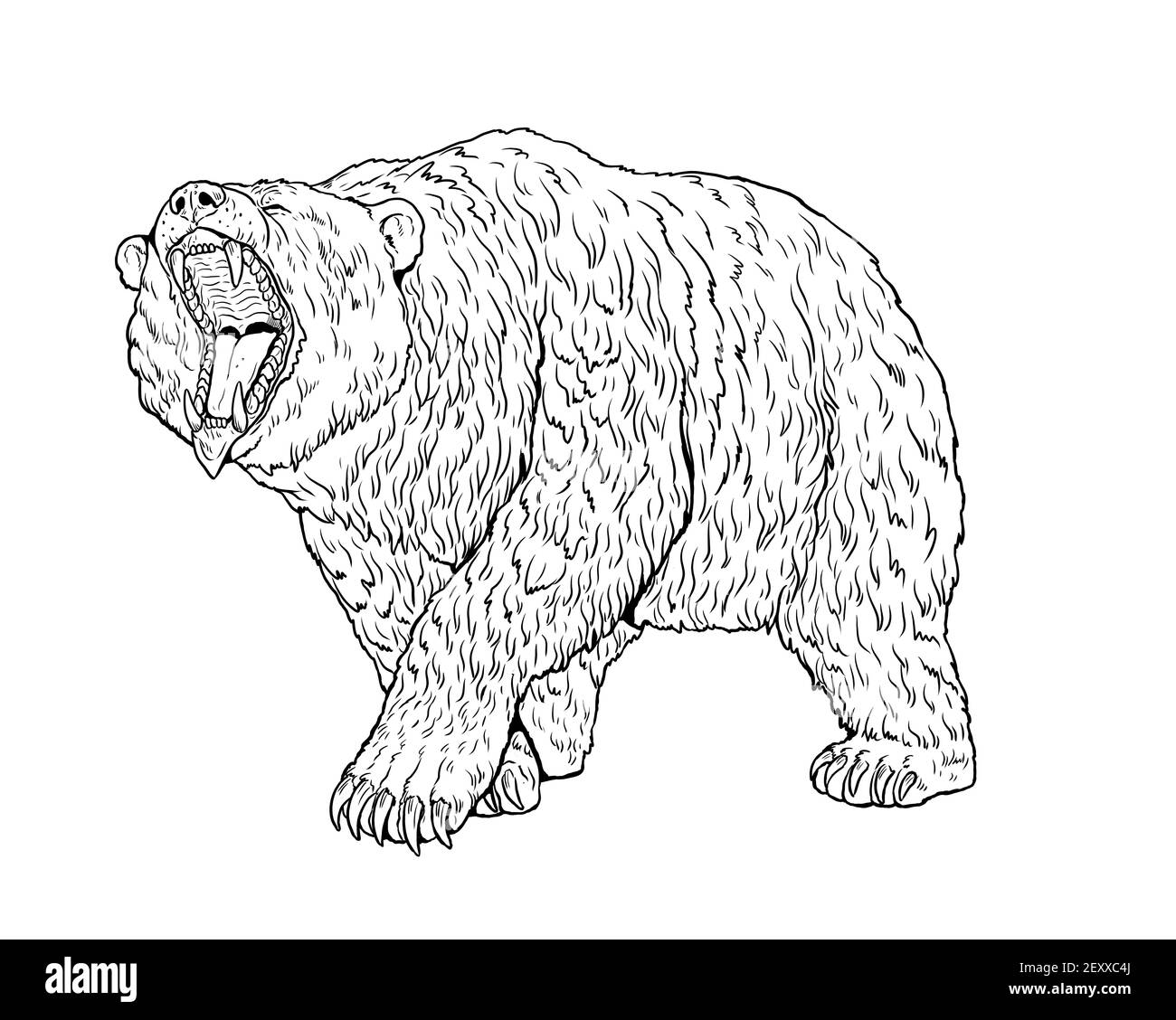Grizzly Bär, Höhlenbär Illustration. Zeichnung des Bärenangriffs. Stockfoto