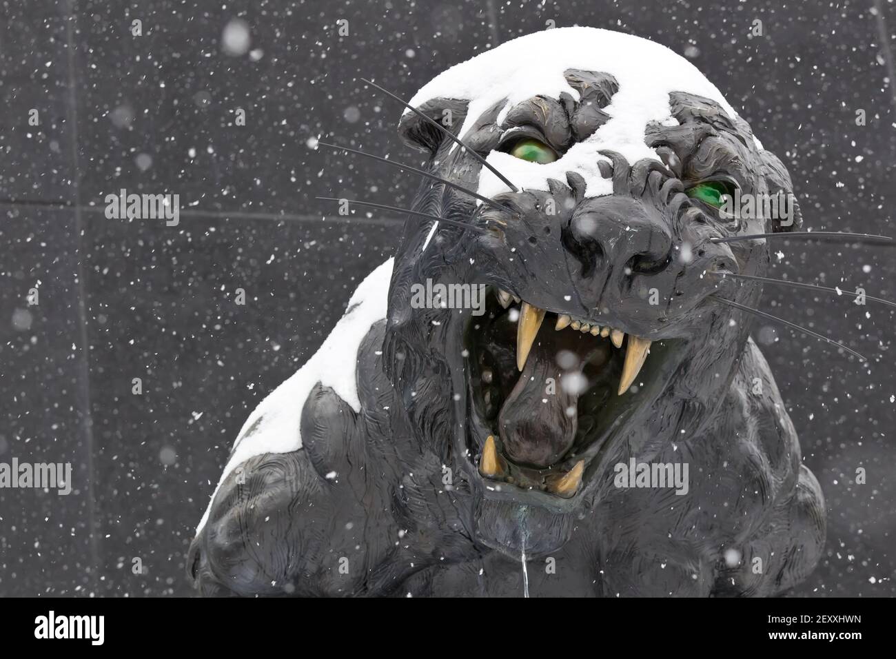 Bank of America Stadium Stockfoto