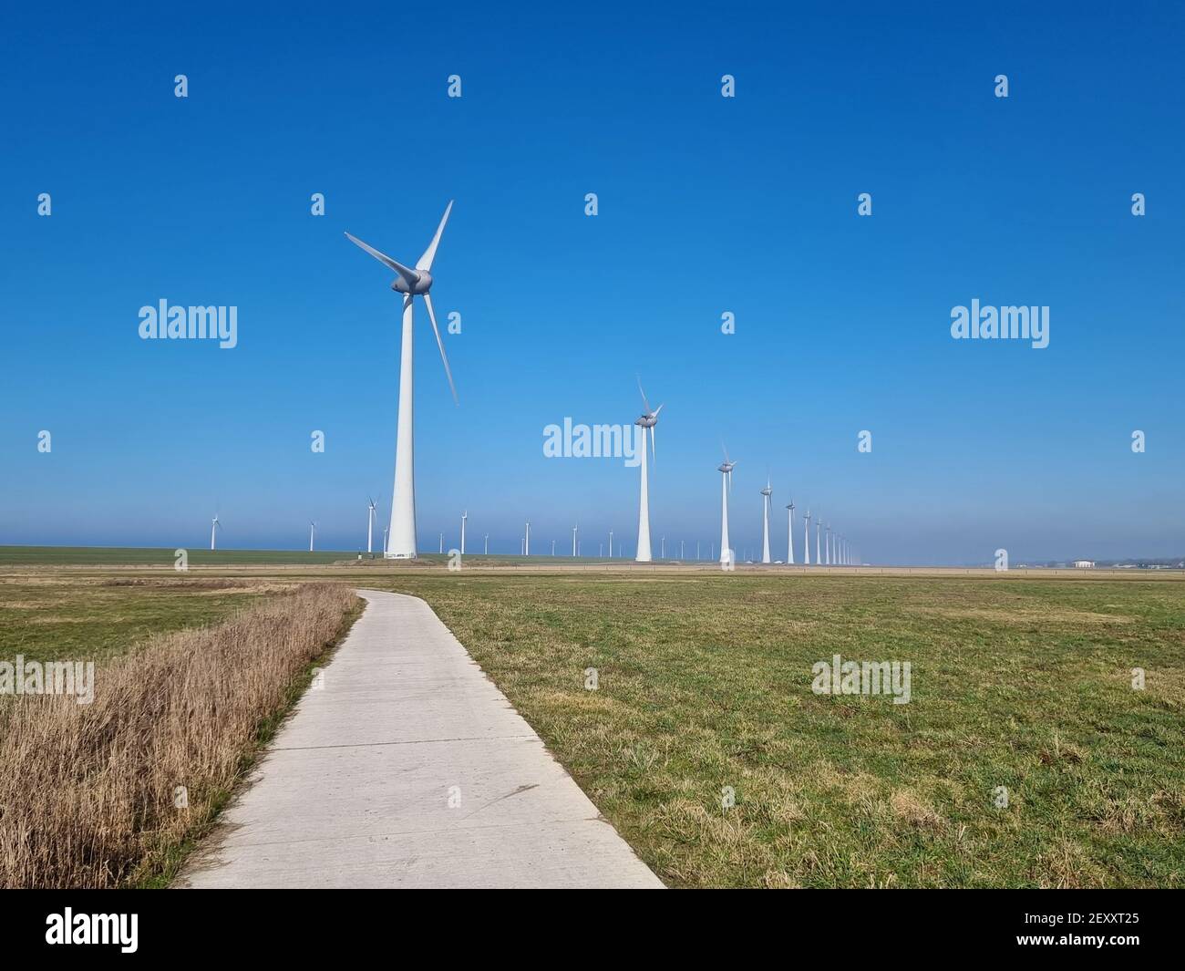 Windmühle Dorf indrustial Windmühle am See Ijsselmeer Nehterlands. Erneuerbare Energie grüne Energie Stockfoto