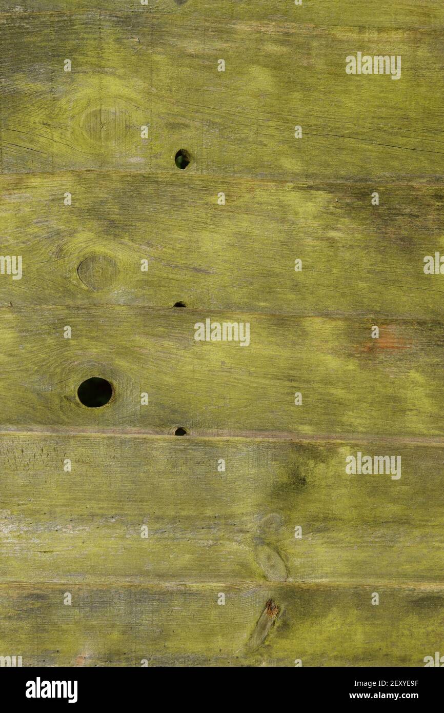 Fence Panels Going Green Stockfoto