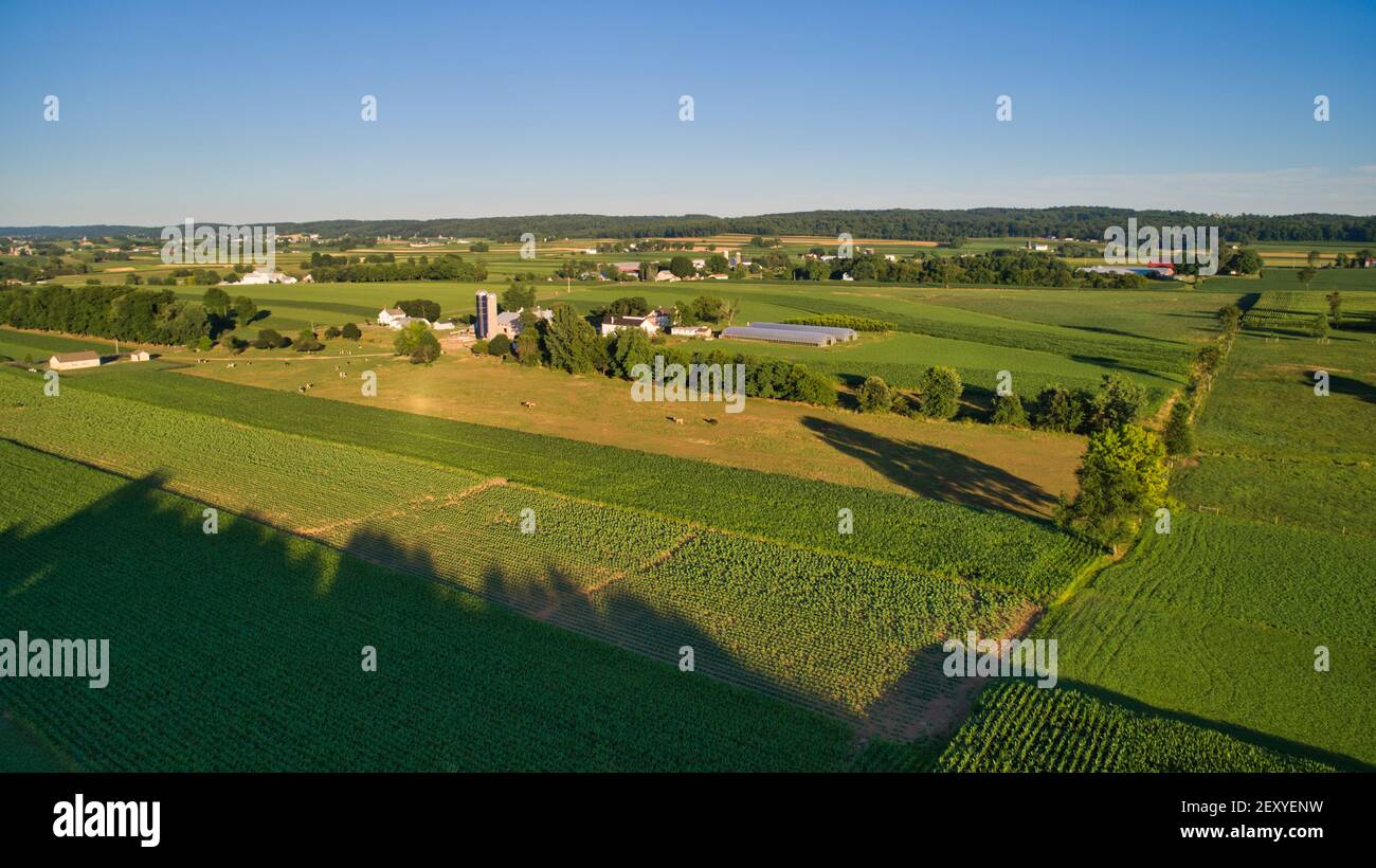Ein Luftblick auf ein Amish Ackerland mit Ernten und Kühe an einem sonnigen Nachmittag Stockfoto
