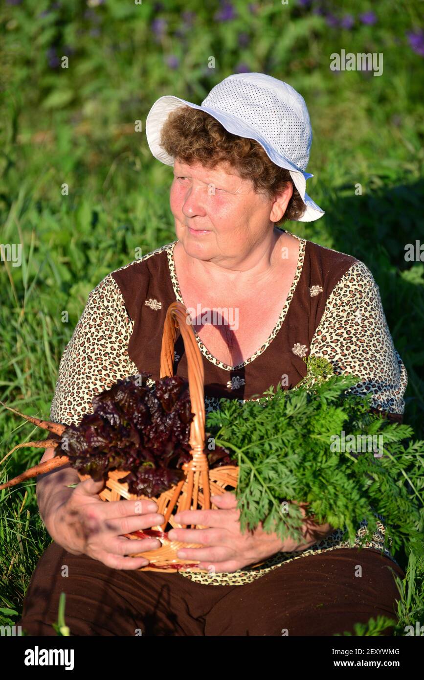 Ältere Frau mit einem Korb mit Gemüse auf dem Bauernhof Stockfoto